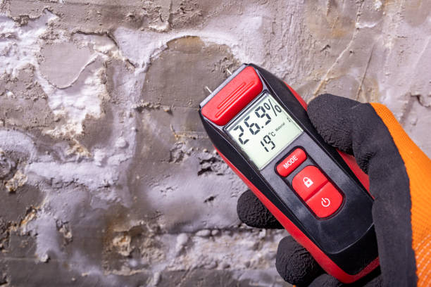 Professional Mold Removal in Lynchburg, VA