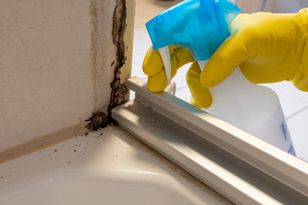 Water Damage Restoration in Lynchburg, VA