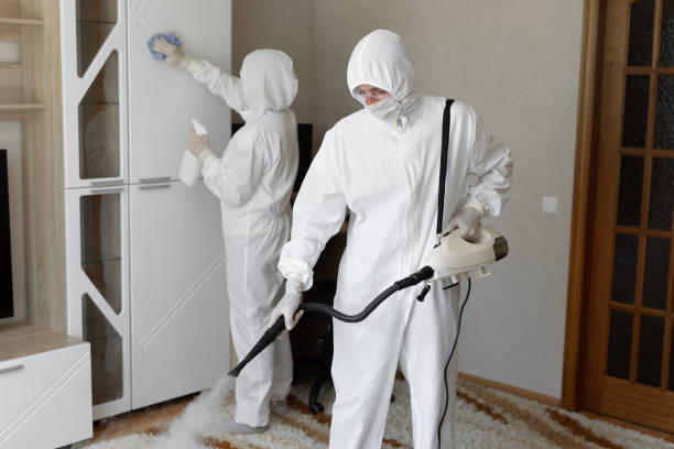 Best Commercial Mold Removal  in Lynchburg, VA