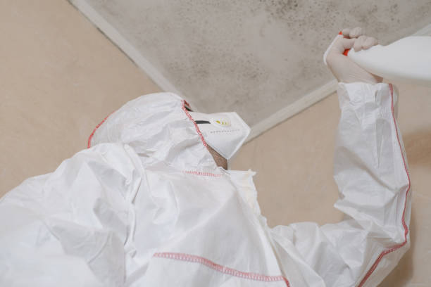 Best Mold Testing  in Lynchburg, VA
